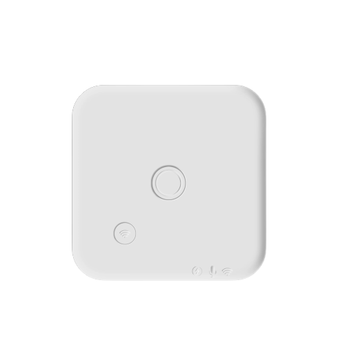EchoRec Mini