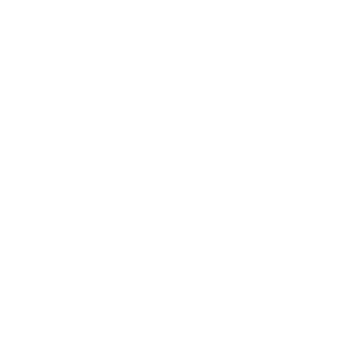 EchoBird