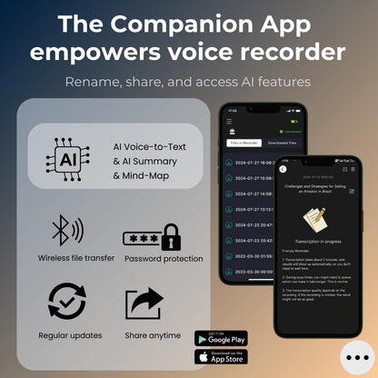 EchoRec Mini